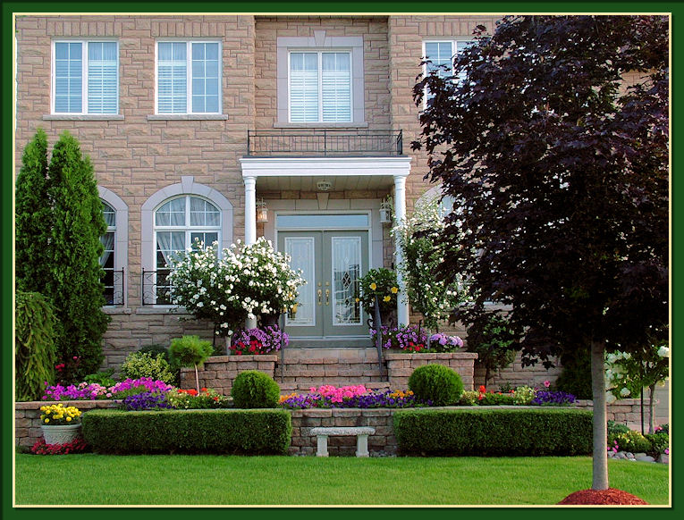 Gardening With Dr. Lily Lo