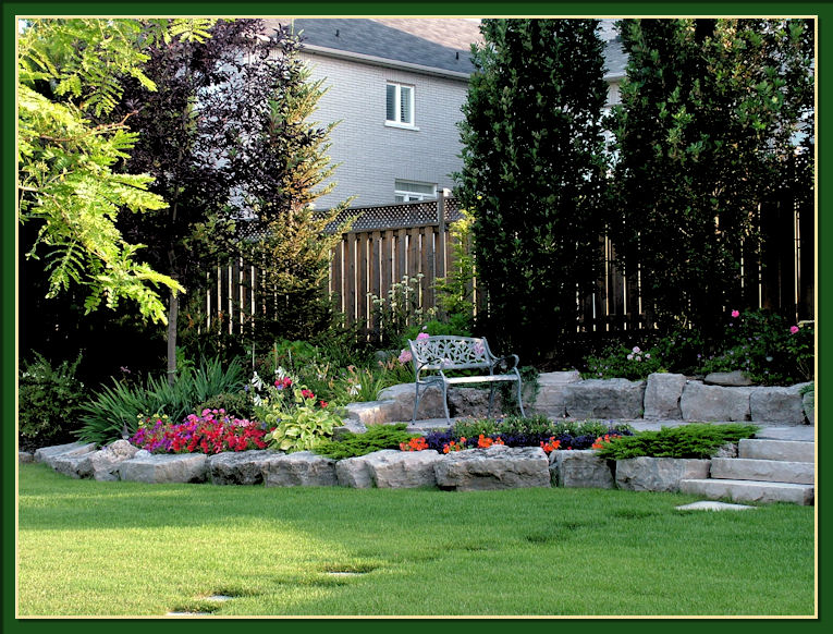 Gardening With Dr. Lily Lo