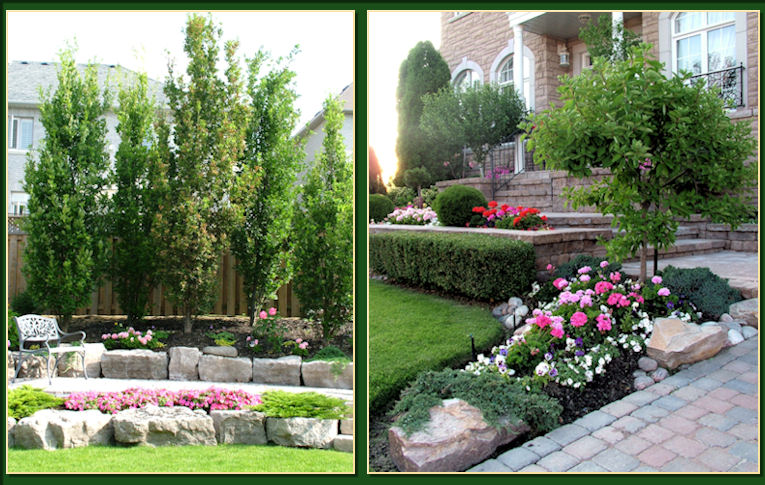 Gardening With Dr. Lily Lo