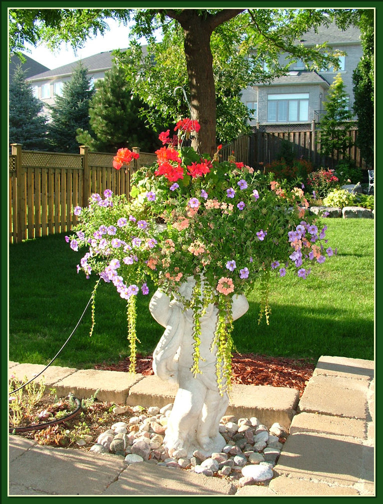 Gardening With Dr. Lily Lo