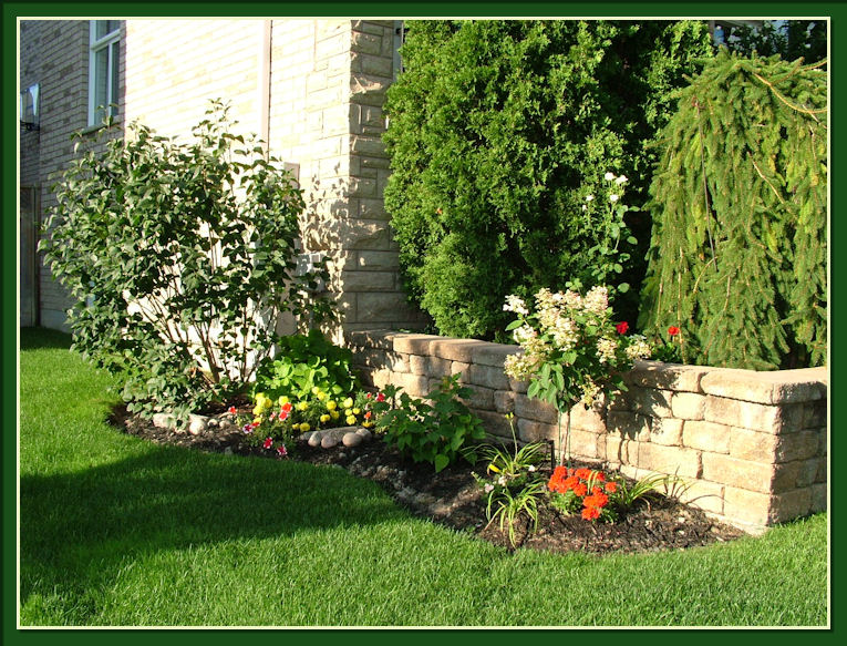 Gardening With Dr. Lily Lo