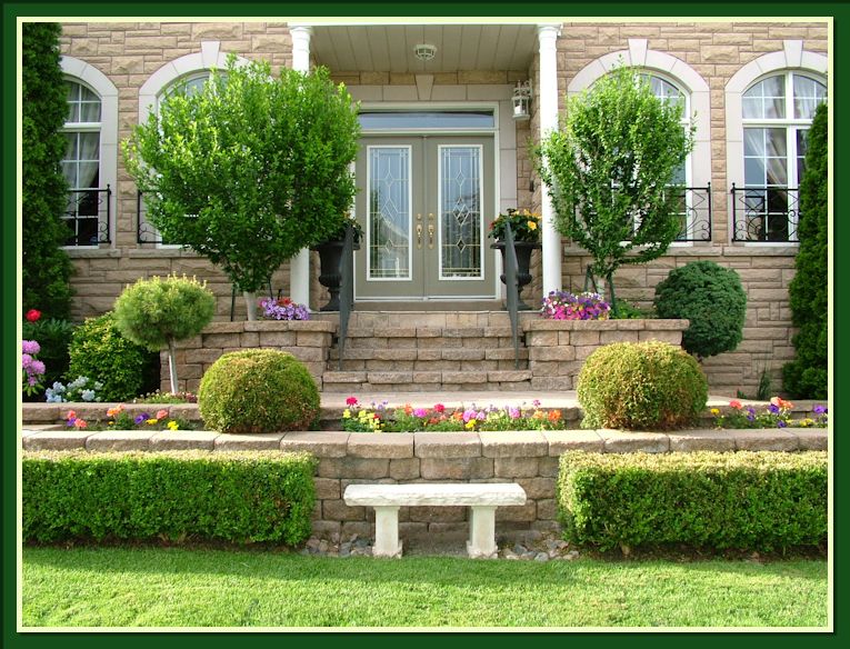 Gardening With Dr. Lily Lo