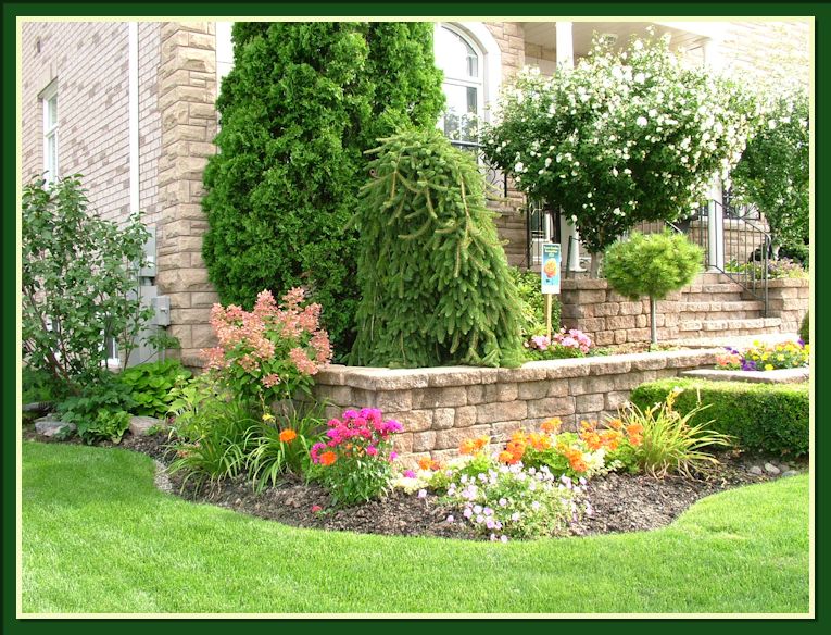 Gardening With Dr. Lily Lo