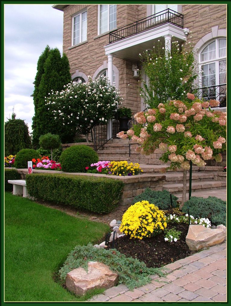 Gardening With Dr. Lily Lo