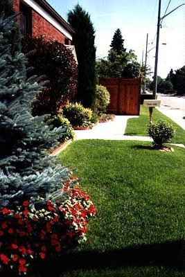 Watering Keeps Your Lawns Lush And Healthy