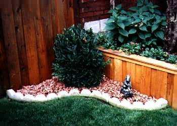 Little Garden Created With Leftover Scallops
