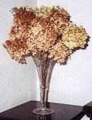 Hydrangea Dried Floral Arrangement