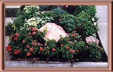 Sandstone End of Garden