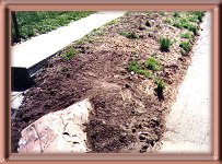 Sandstone End of Garden
