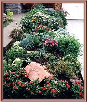 Rock Garden
