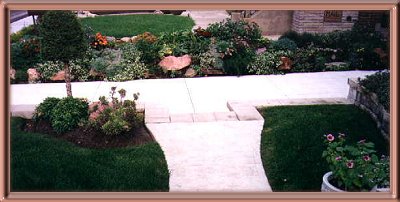 Rock Garden