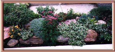 Rock Garden