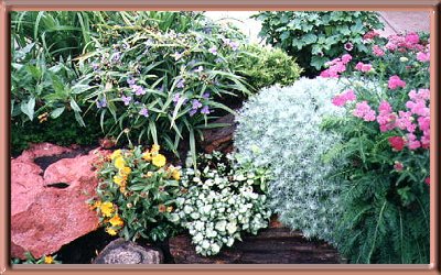 Rock Garden