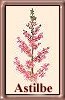 A. chinensis pumila