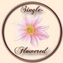 Single Flowered Dahlia
