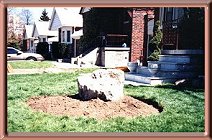 New Garden