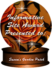 Informative Site Award